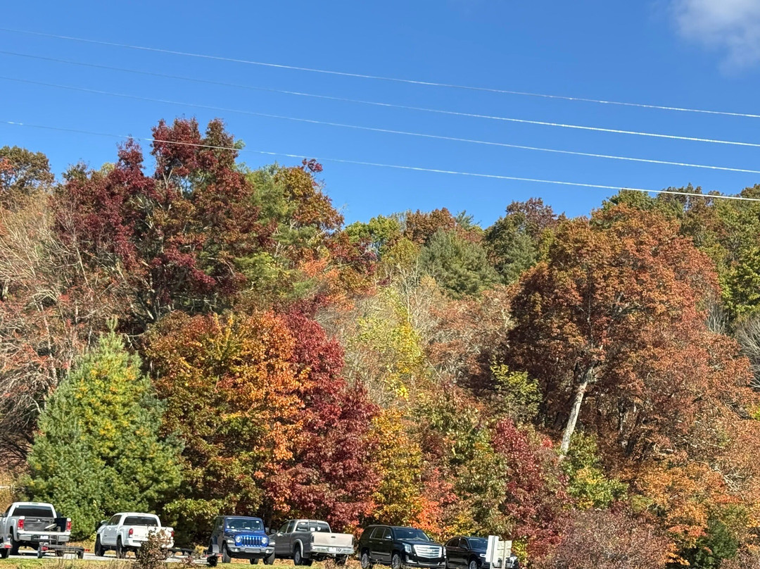 Lake Glenville Scenic Waterfall Cruises-Cashiers必去景点