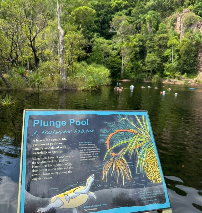 Wangi Falls-Litchfield National Park必去景点