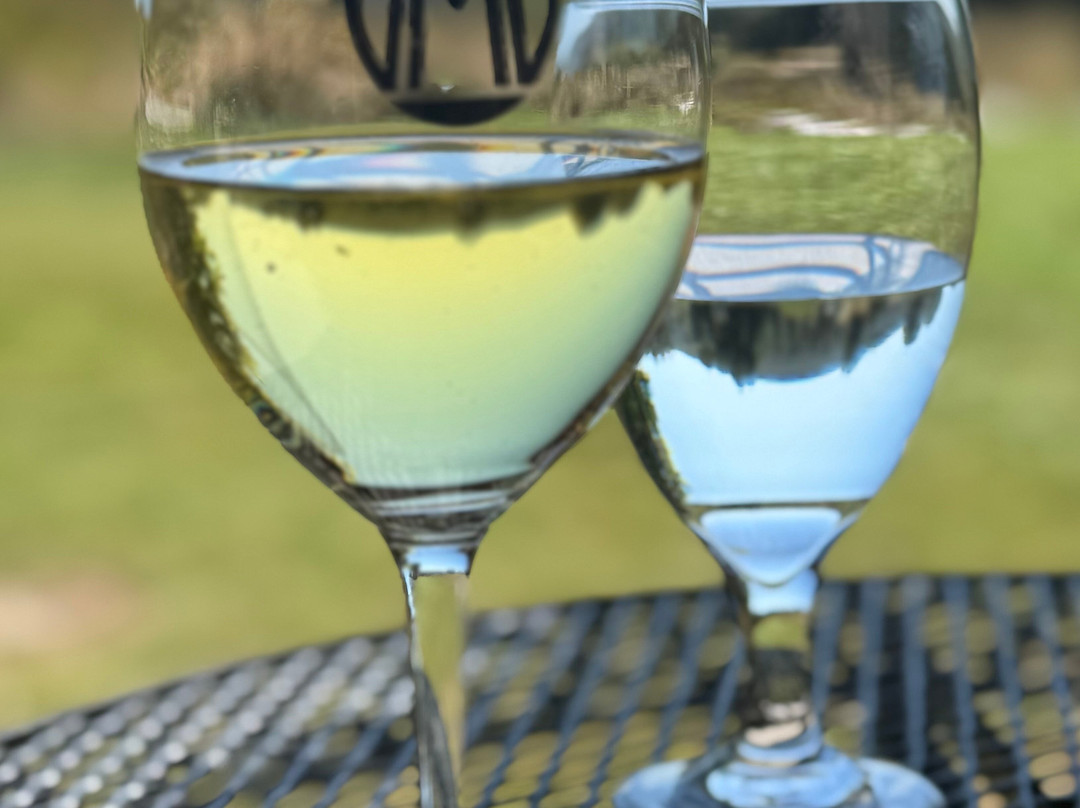 Valley Mills Vineyards-韦科必去景点