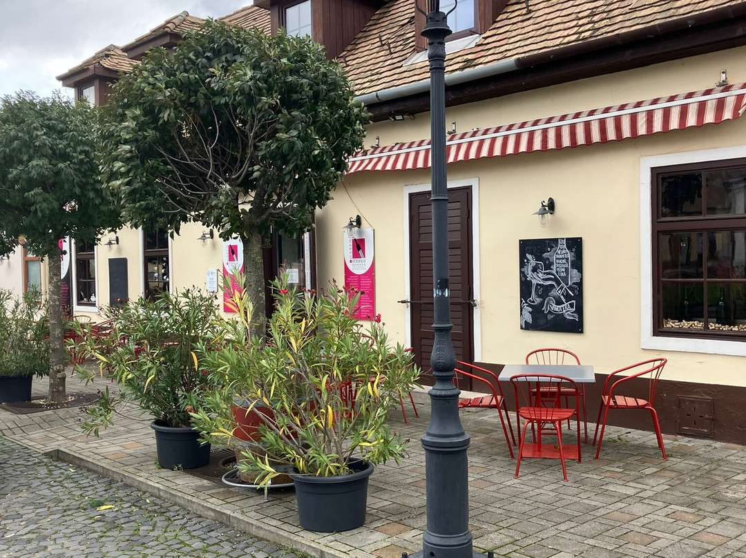 Magyar utca-Mosonmagyarovar必去景点