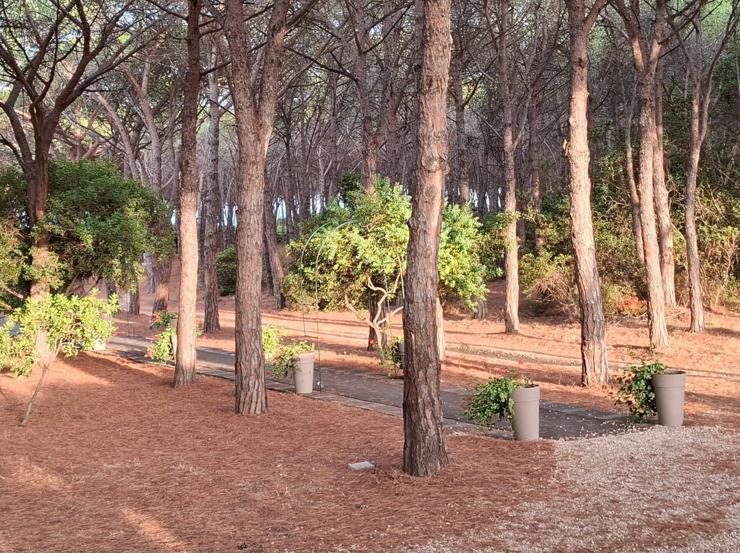 Tui Blue Matta Village Beach-Matta E Peru必去景点