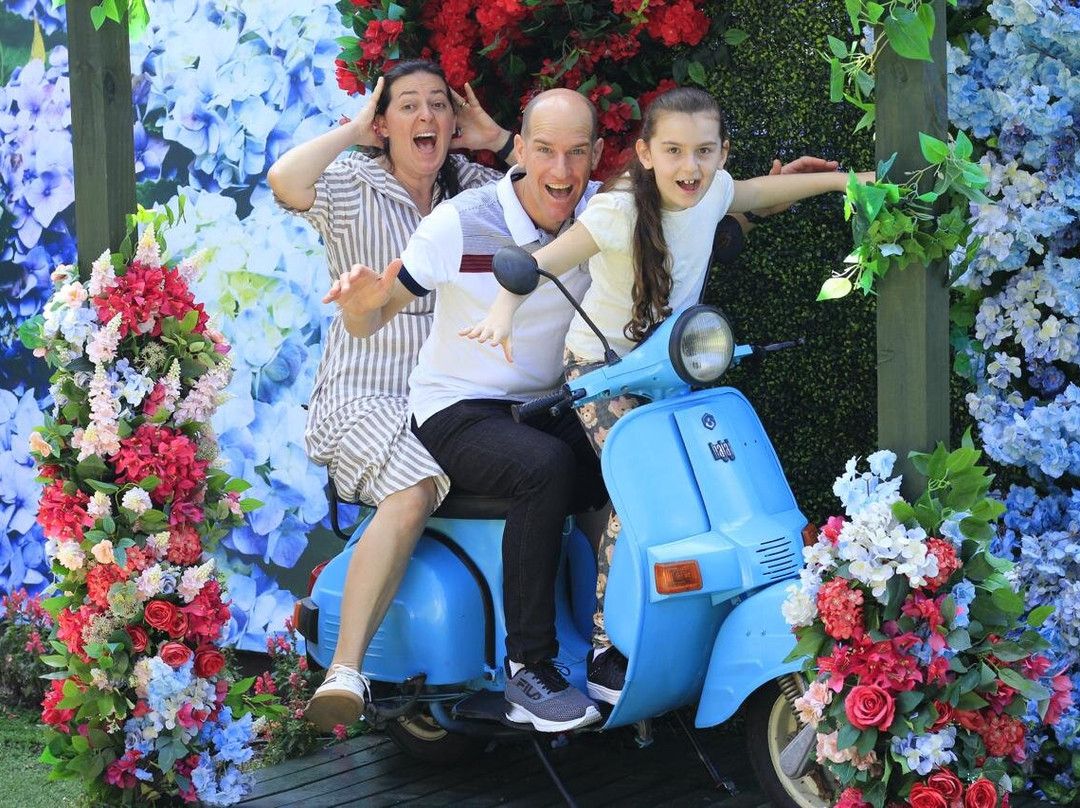 Hortênsias Garden-格拉玛多必去景点