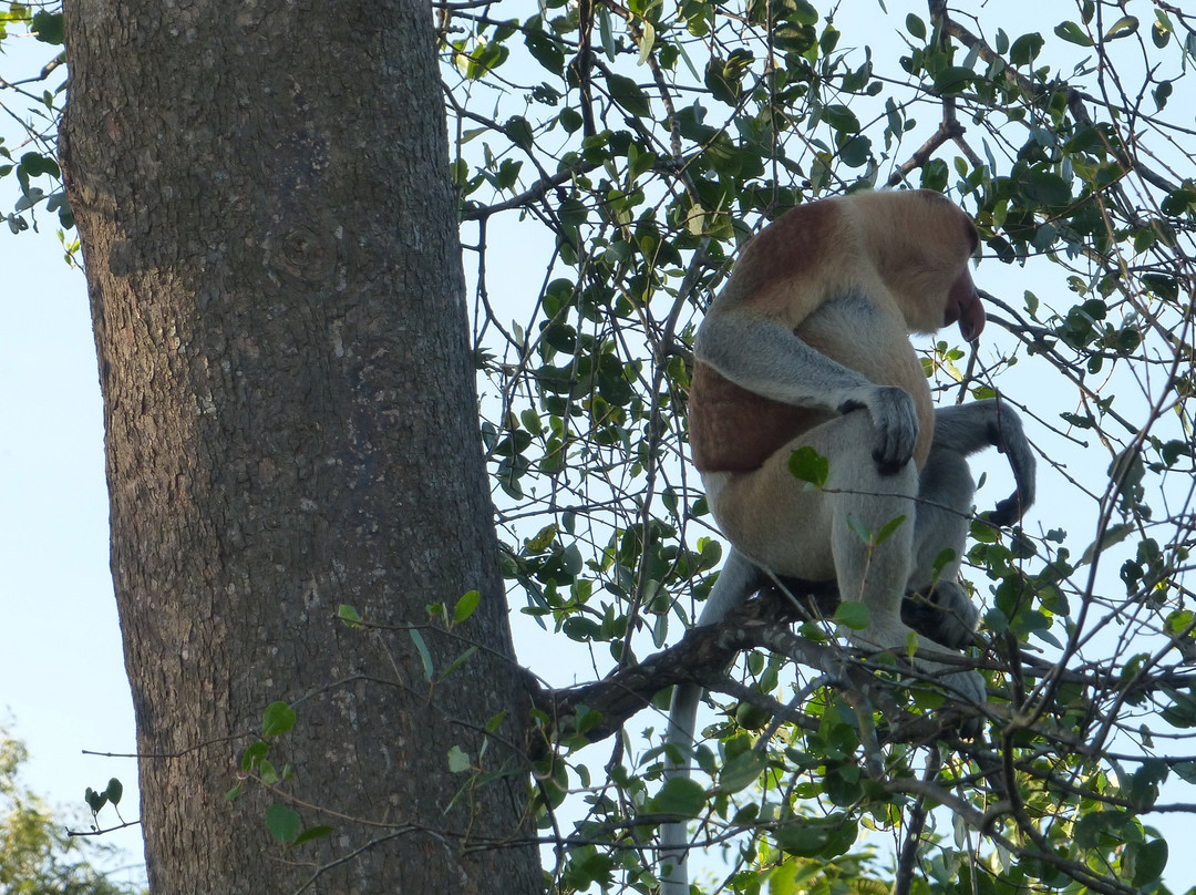 Brunei River-斯里巴加湾必去景点