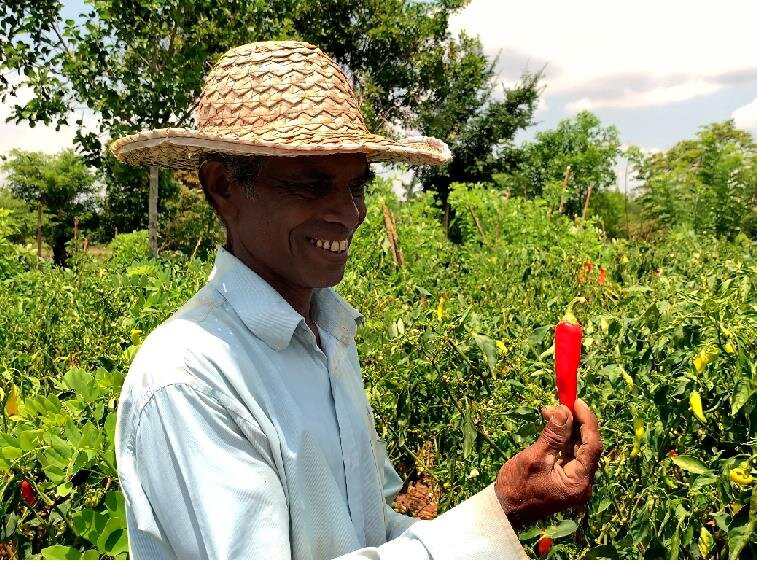 Select Sri Lanka Holidays-卡卢特勒必去景点