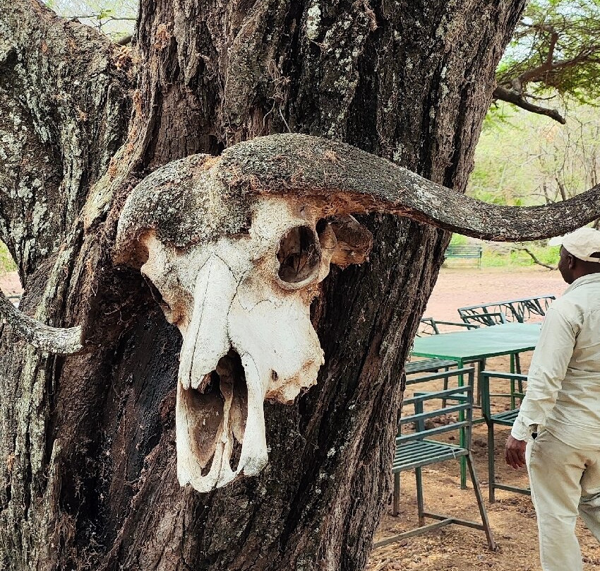 Komba Tanzania Safari-阿鲁沙必去景点