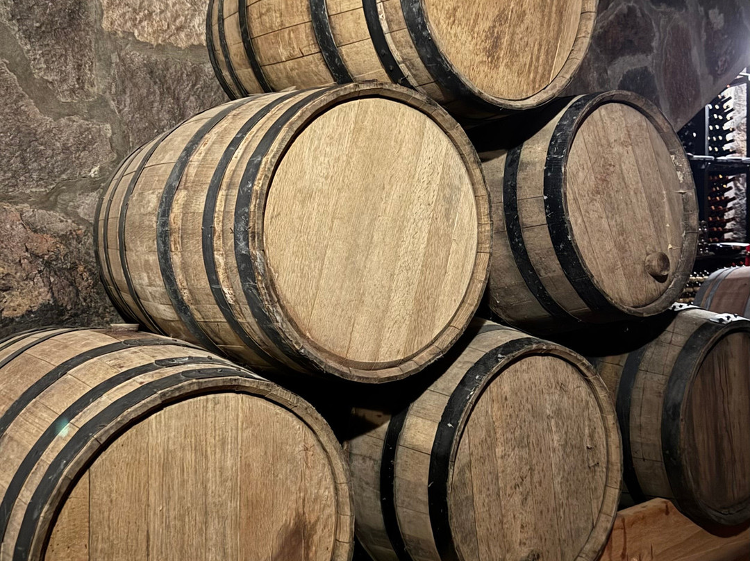 Vinedo Umana Dajud-莱瓦镇必去景点