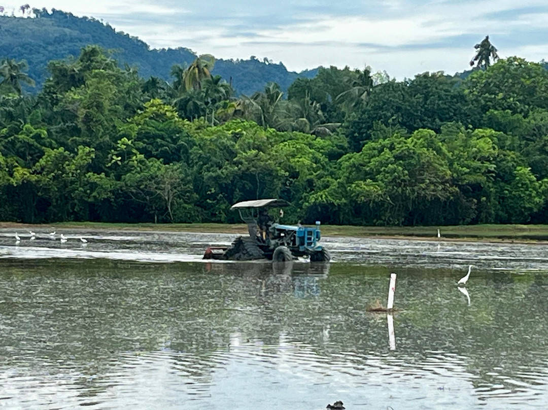 Ride Penang X Bicycle And Beyond-丹容武雅必去景点