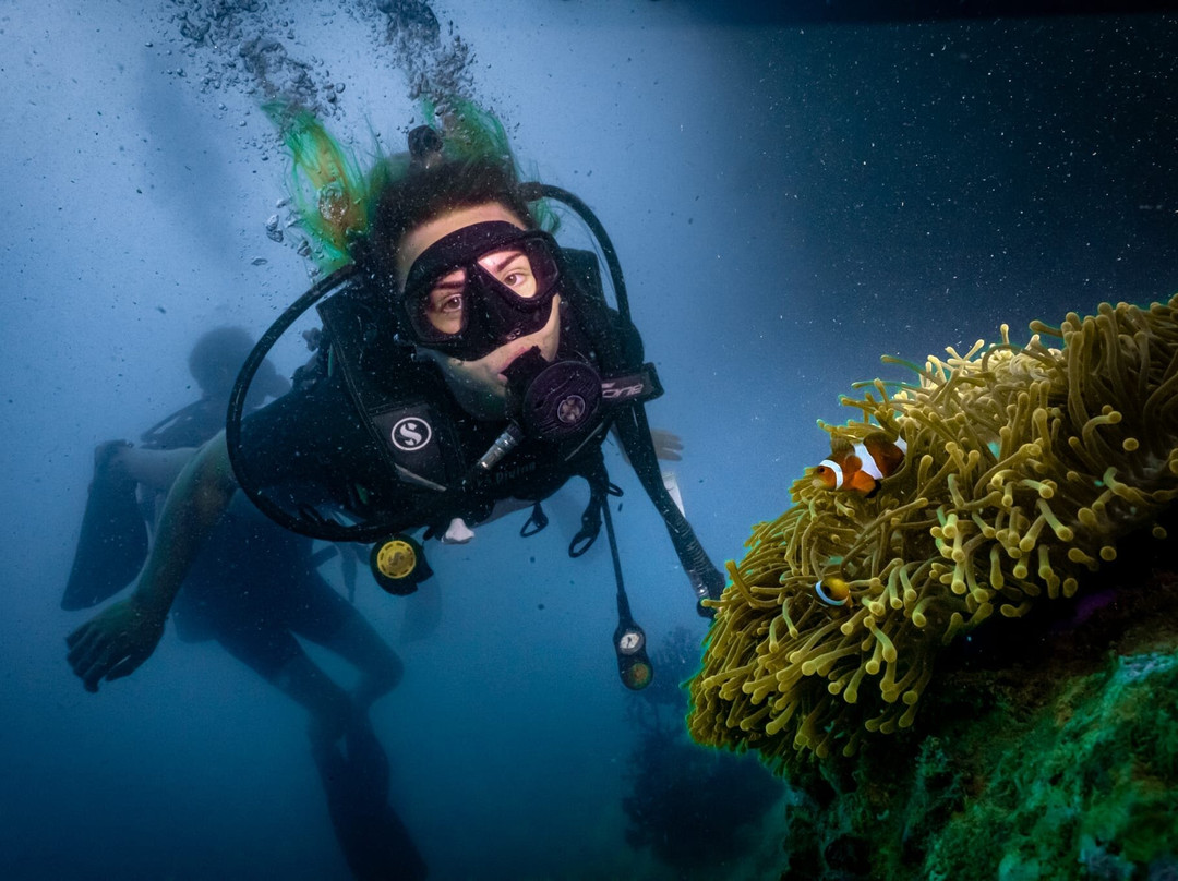Forra Diving - Day Tour-丽贝岛必去景点