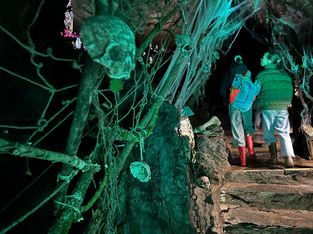 Domaine Des Grottes De Han-Han-sur-Lesse必去景点