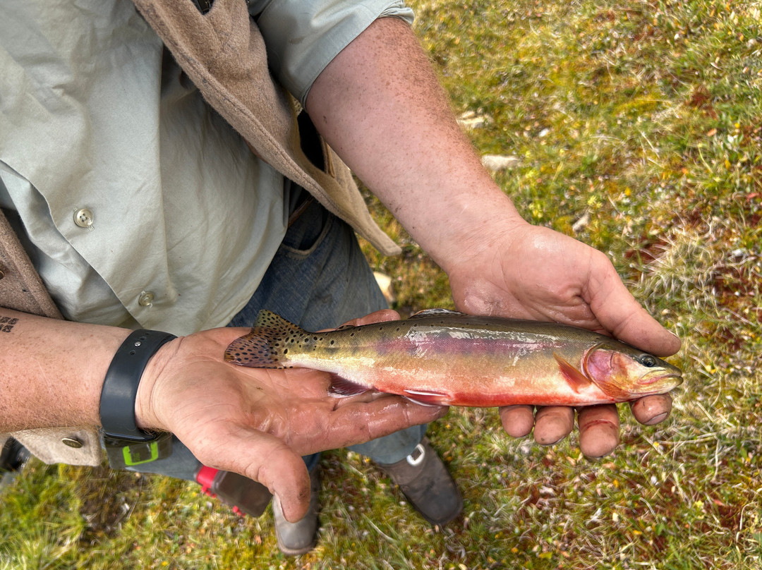 McKenzie Trails West-Nordegg必去景点