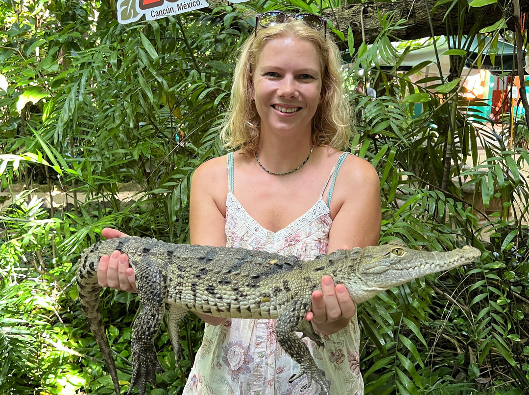 Croco Cun Zoo-从莫雷洛斯港必去景点