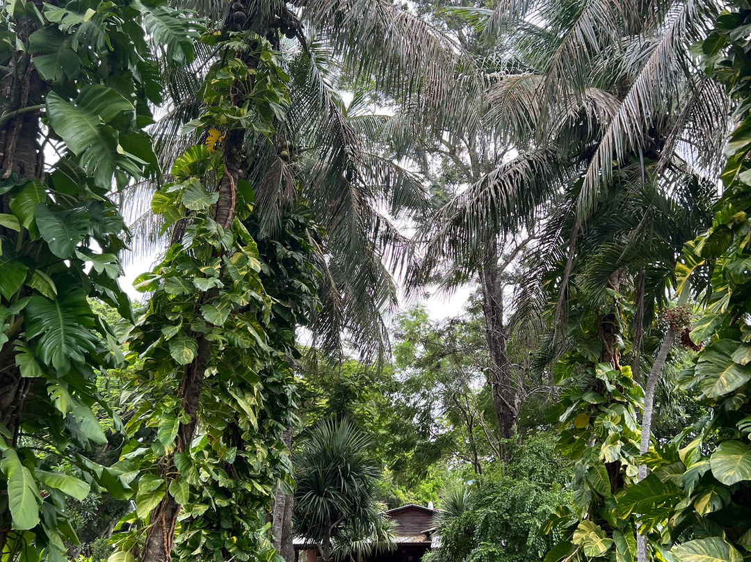 Zemis Tobacco and Cigars Factory-圣地亚哥必去景点