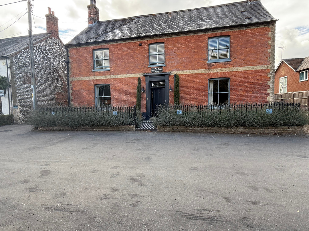 The Dabbling Duck主图