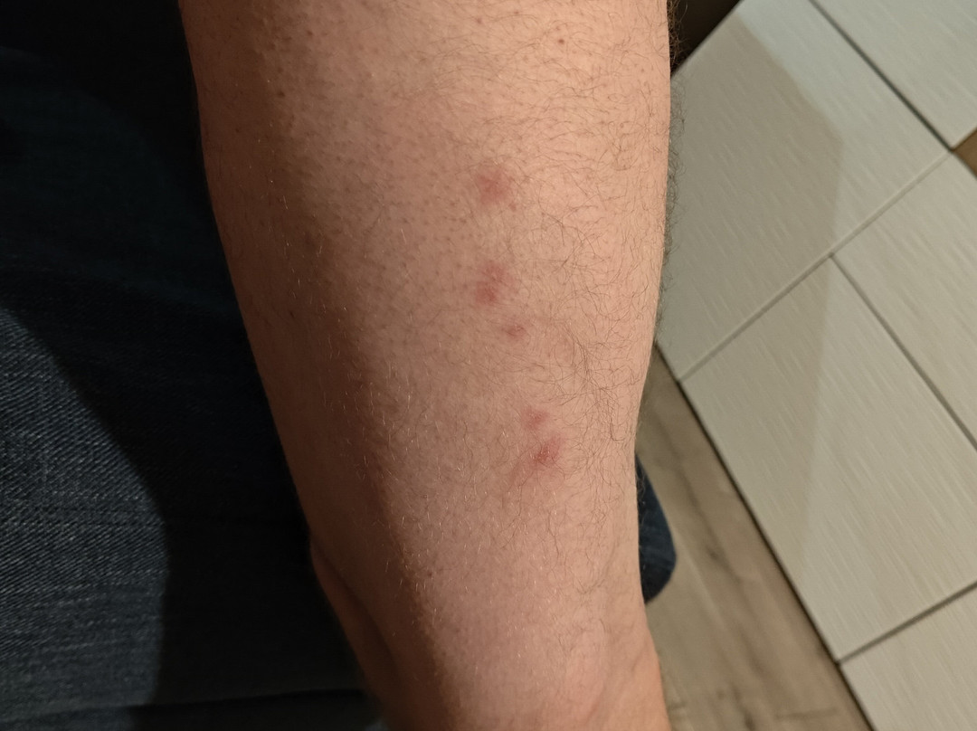 Premier Inn Doncaster Central主图