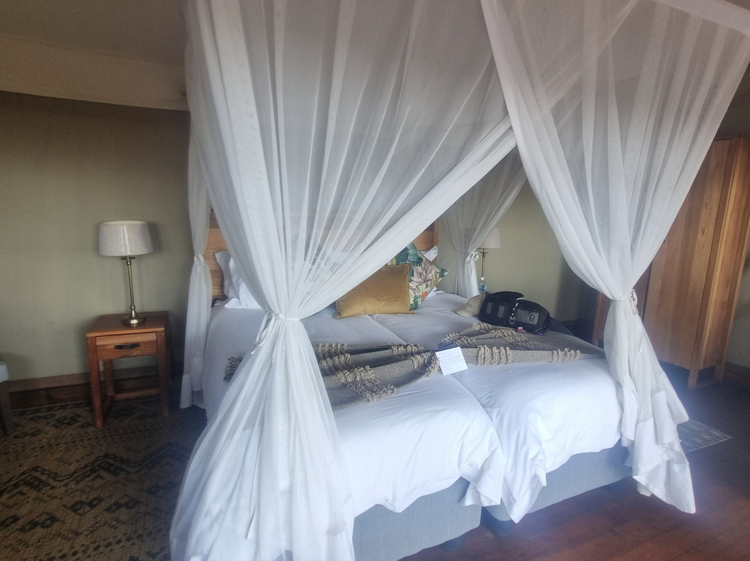 蔓威丛林营地主图