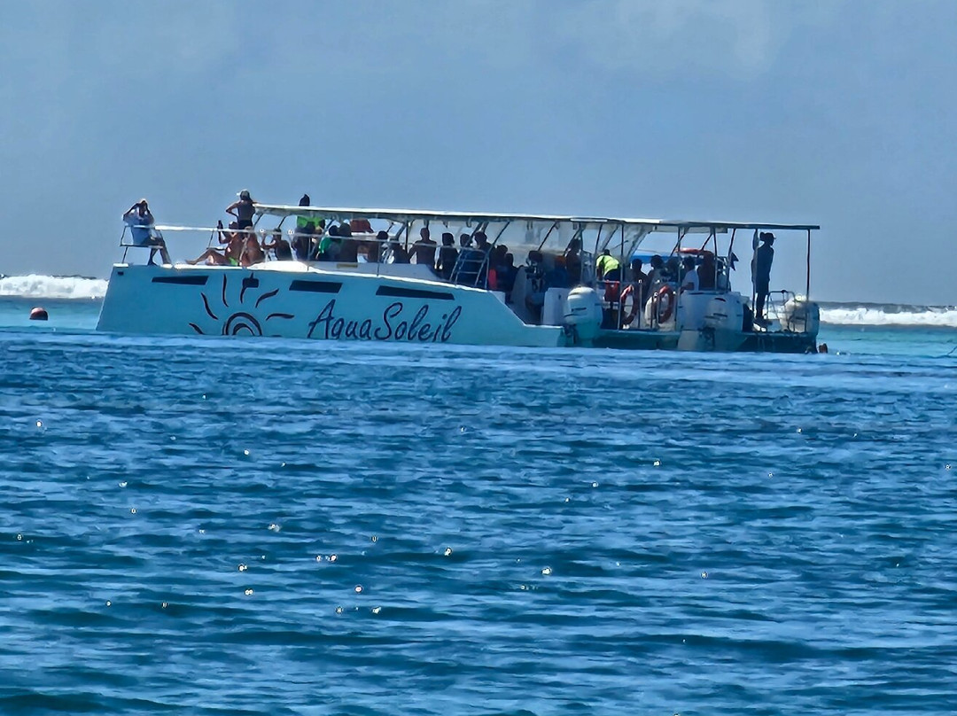 Arnaud Péka-Rose Hill必去景点