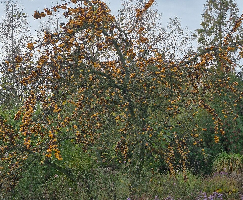 Norwell Nurseries and Gardens-Norwell必去景点