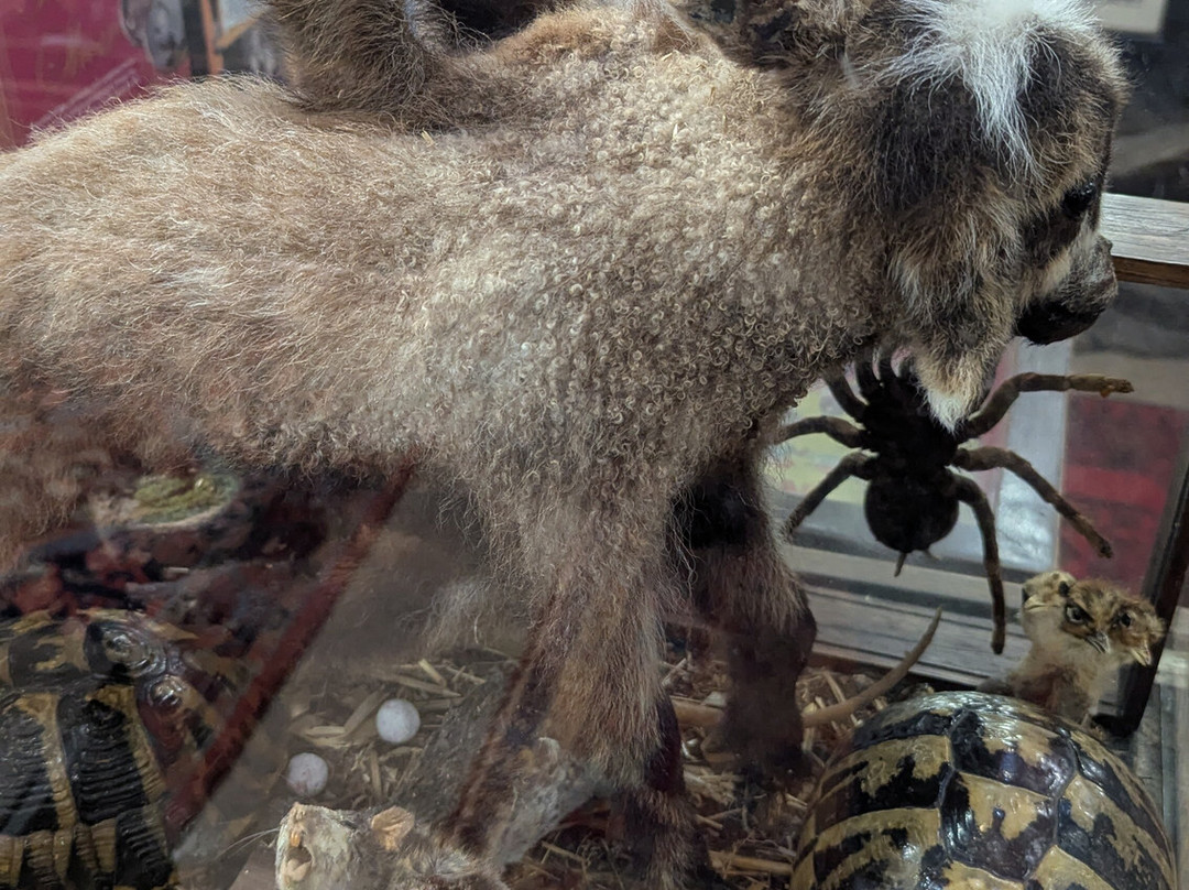 Little Dean Jail-Cinderford必去景点