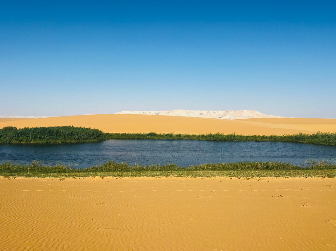 MyEgyTours - Day Tours-开罗必去景点