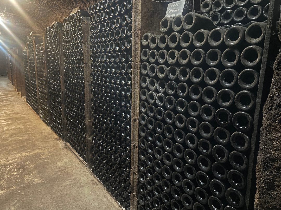 Caves Cathelineau-Chancay必去景点