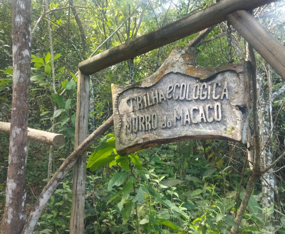 Trilha do Morro do Macaco-Bombinhas必去景点