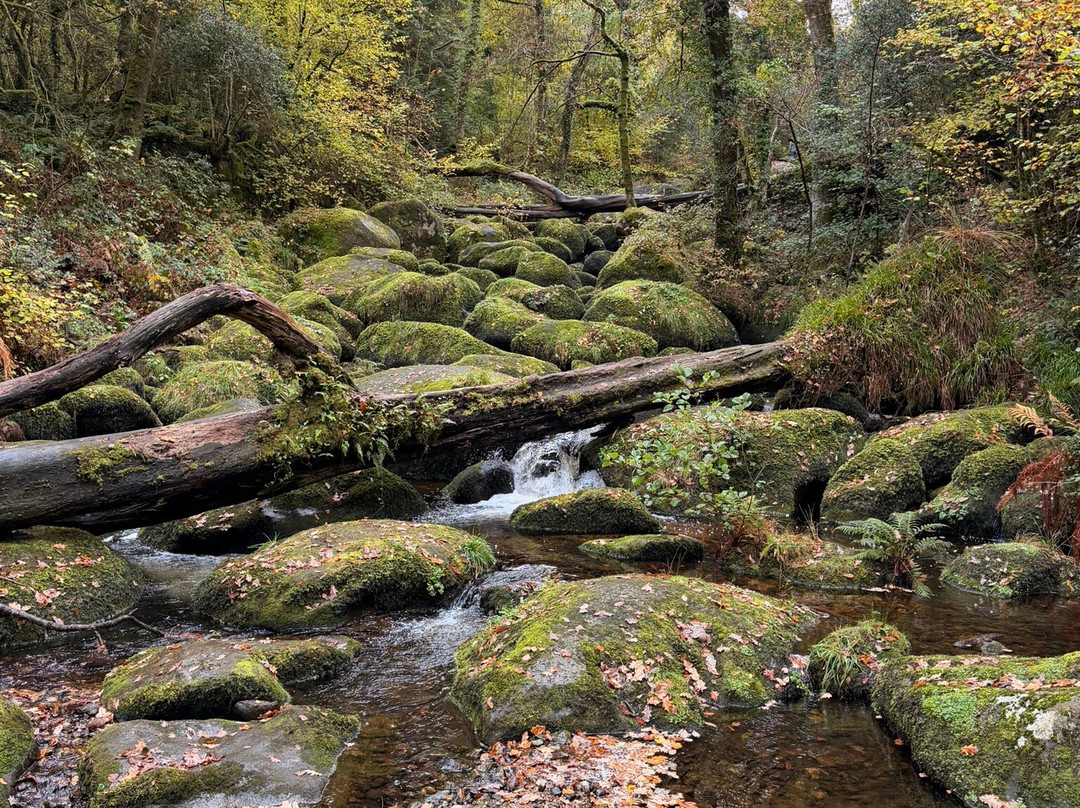 Becky Falls-Manaton必去景点