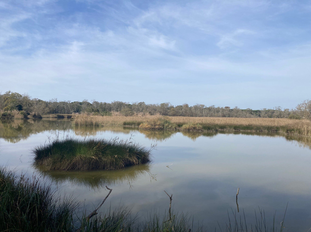 Parco Regionale Migliarino San Rossore Massaciuccoli-比萨必去景点