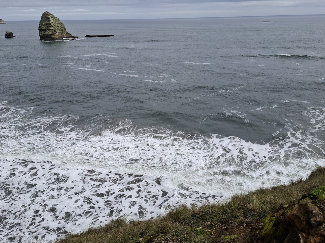 Parque Tepuhueico-Chonchi必去景点