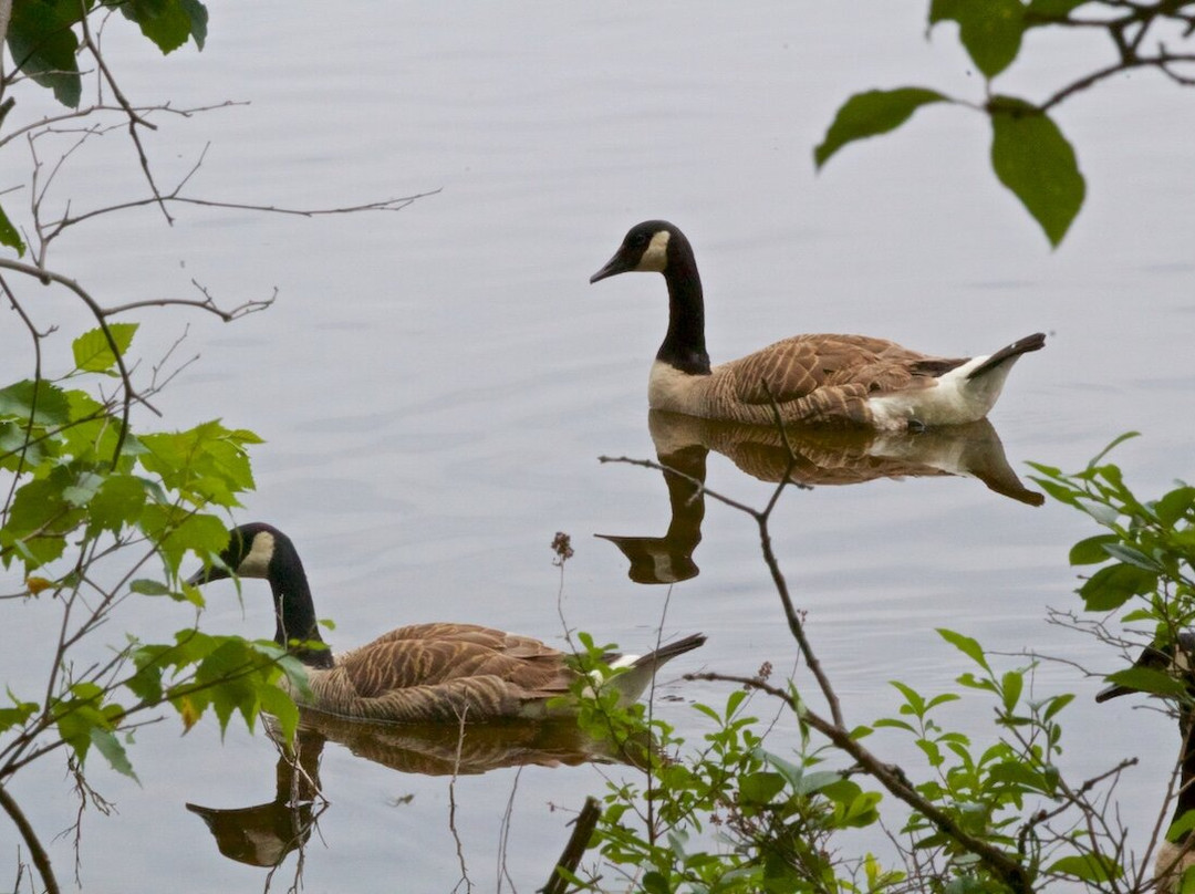 Scranton Lake Walking Path-斯克兰顿必去景点