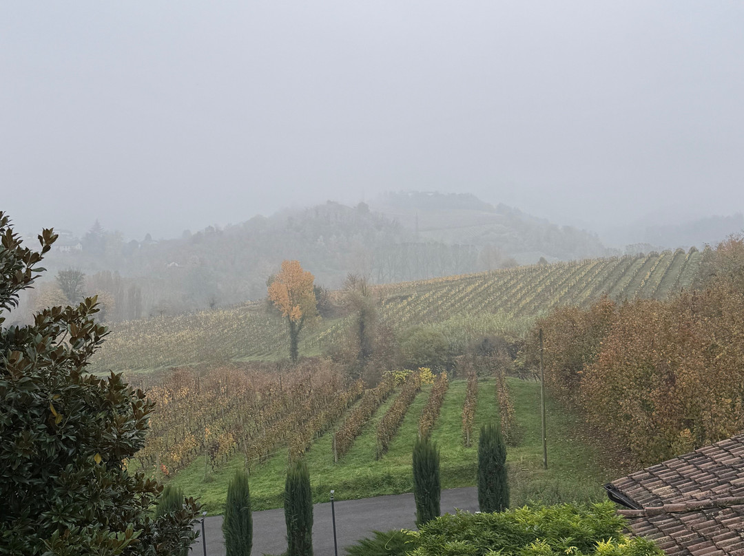 LHV Residenza San Vito主图