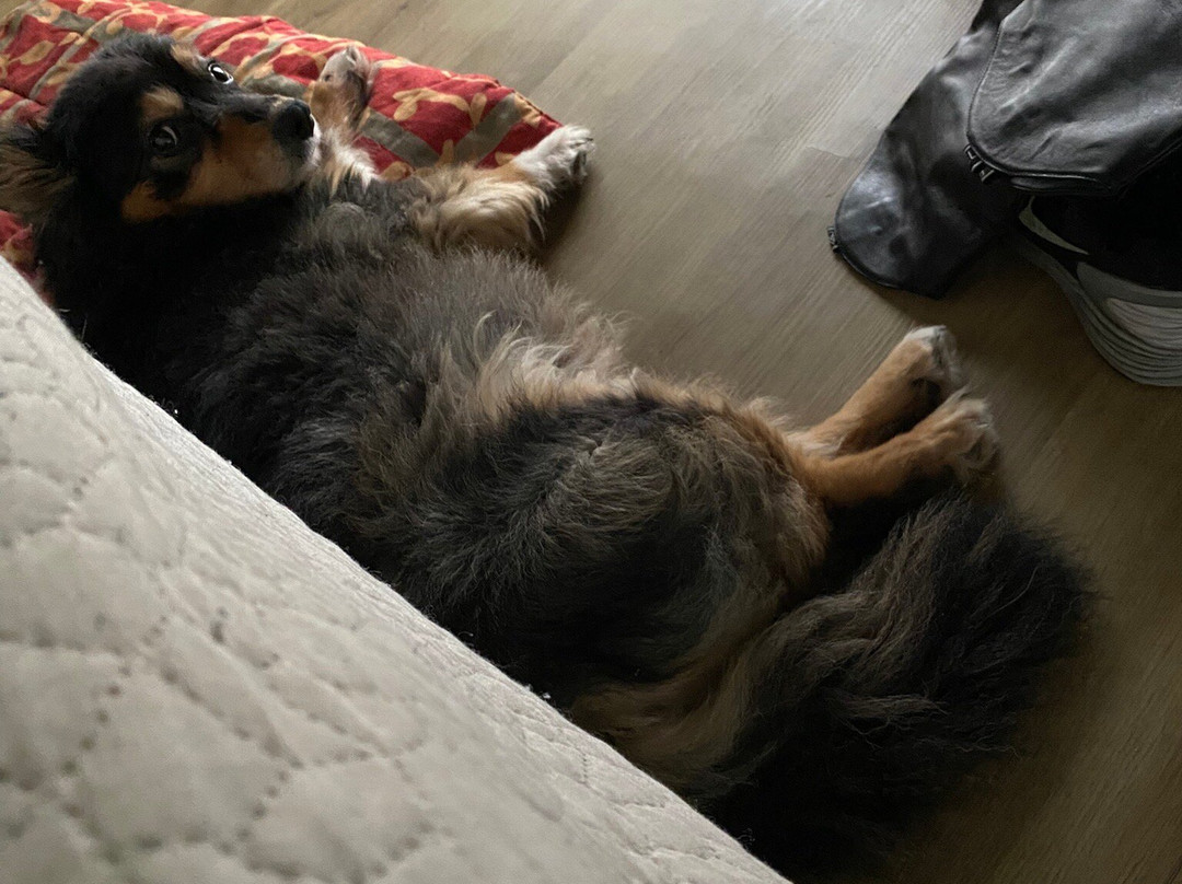 Palacongressi di Rimini-里米尼必去景点