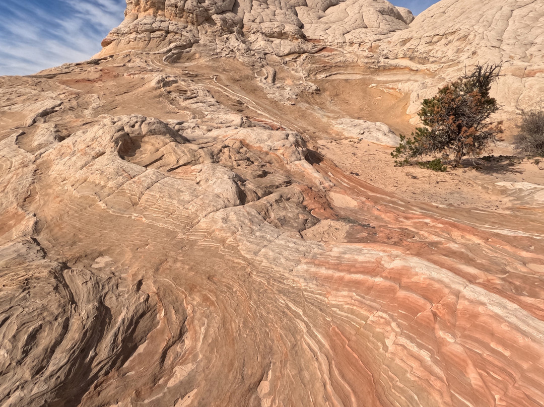 East Zion Adventures-Orderville必去景点