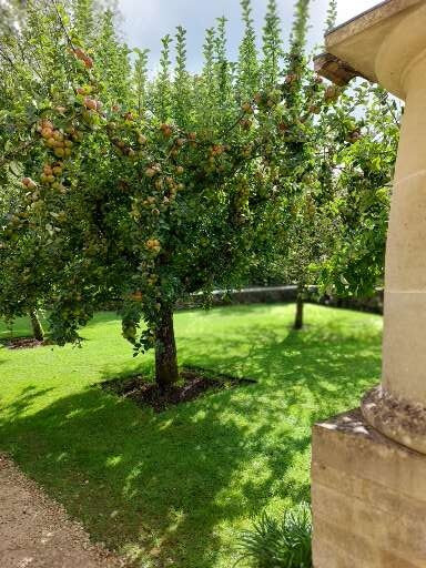 海格罗夫楼宾馆-泰特伯里必去景点