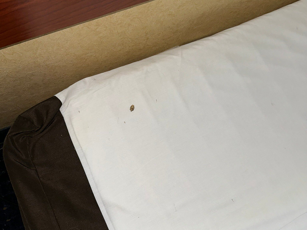 Comfort Inn Chester - Richmond South主图