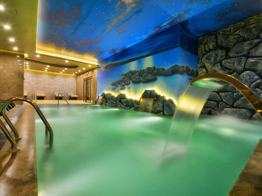 布尔萨酒店住宿-Marigold Thermal Spa Hotel