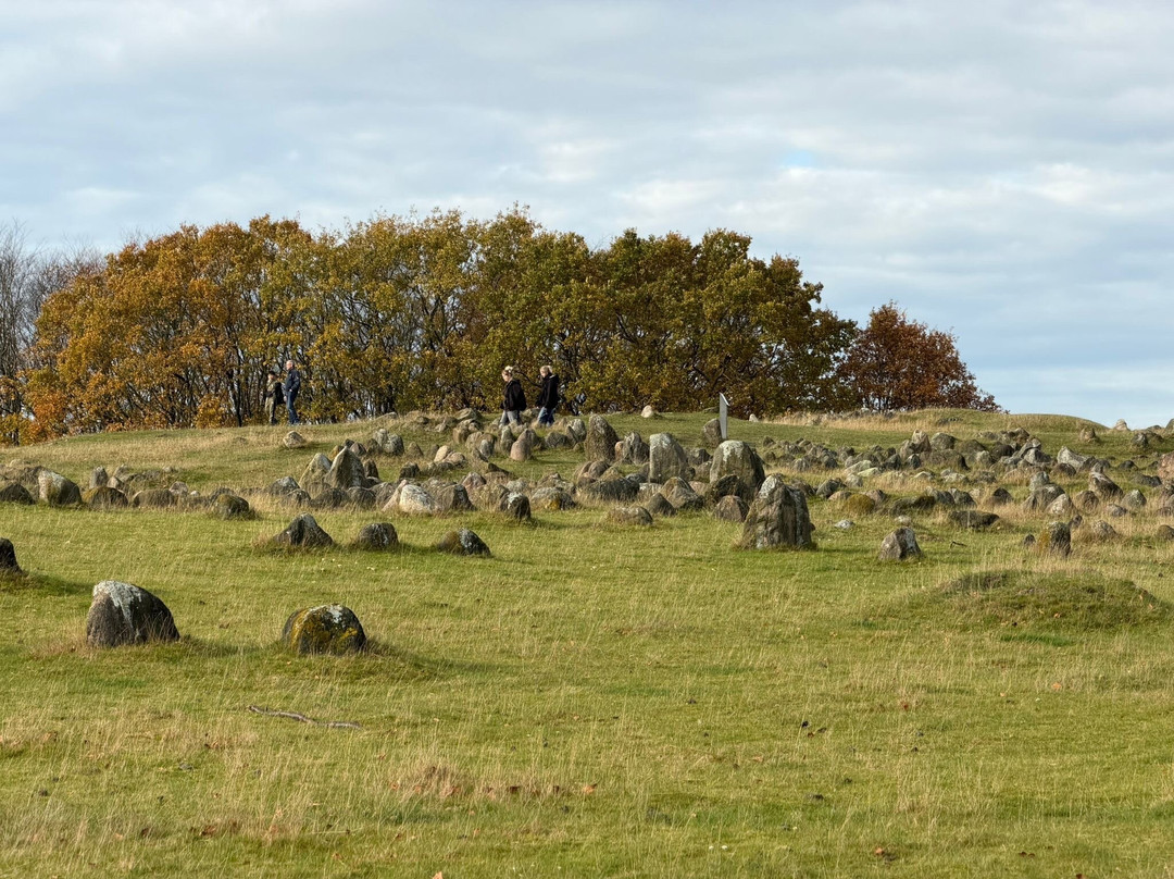 Vikingemuseet Lindholm Høje-Noerresundby必去景点