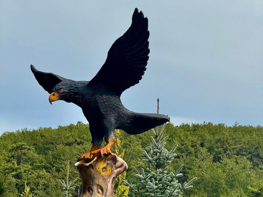 Çam Thermal Resort & Spa Hotel主图