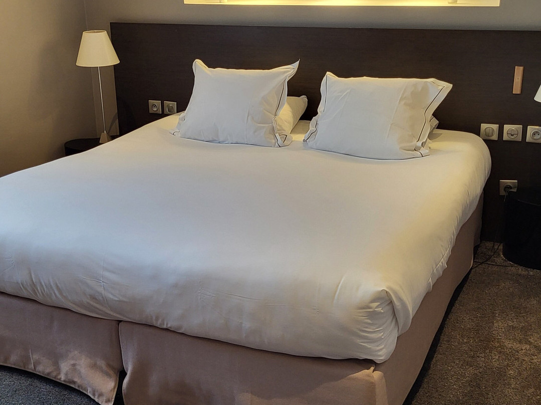 法兰西酒店主图