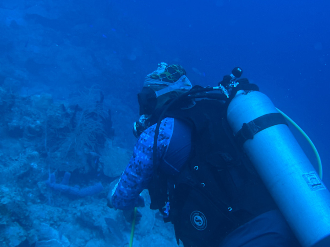 Sweet Bottom Dive Center-圣克鲁斯必去景点