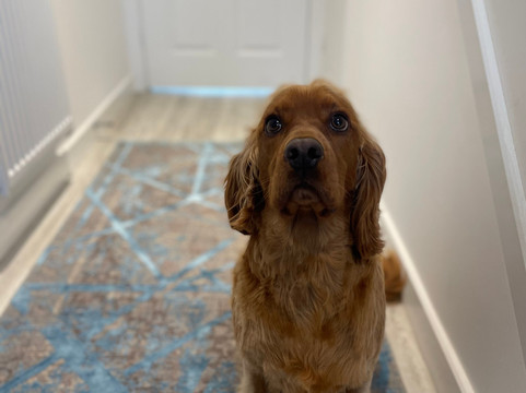 Barok Authentic Looms-塞尔丘克必去景点