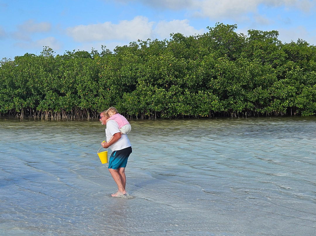 Native Guidance-Sugarloaf必去景点