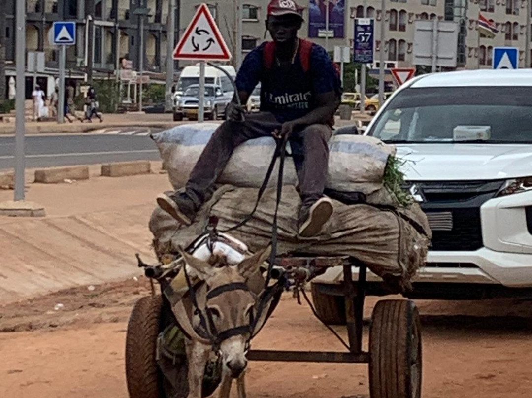 Gambia and Senegal tours with Ebrima-Tanji必去景点