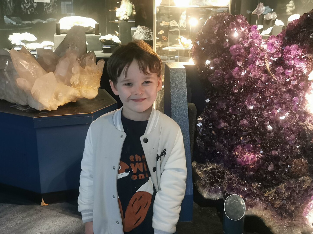 National Museum Cardiff-卡迪夫必去景点