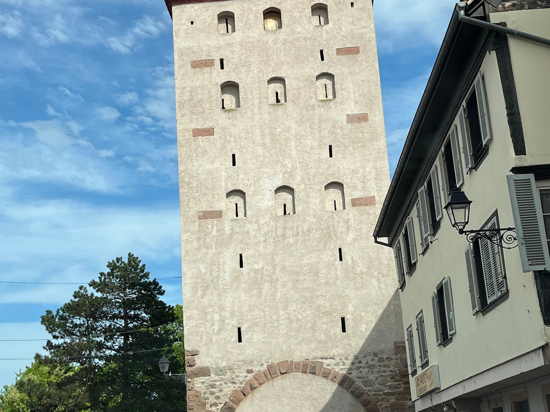 Tour des Sorcieres-塞勒斯塔必去景点