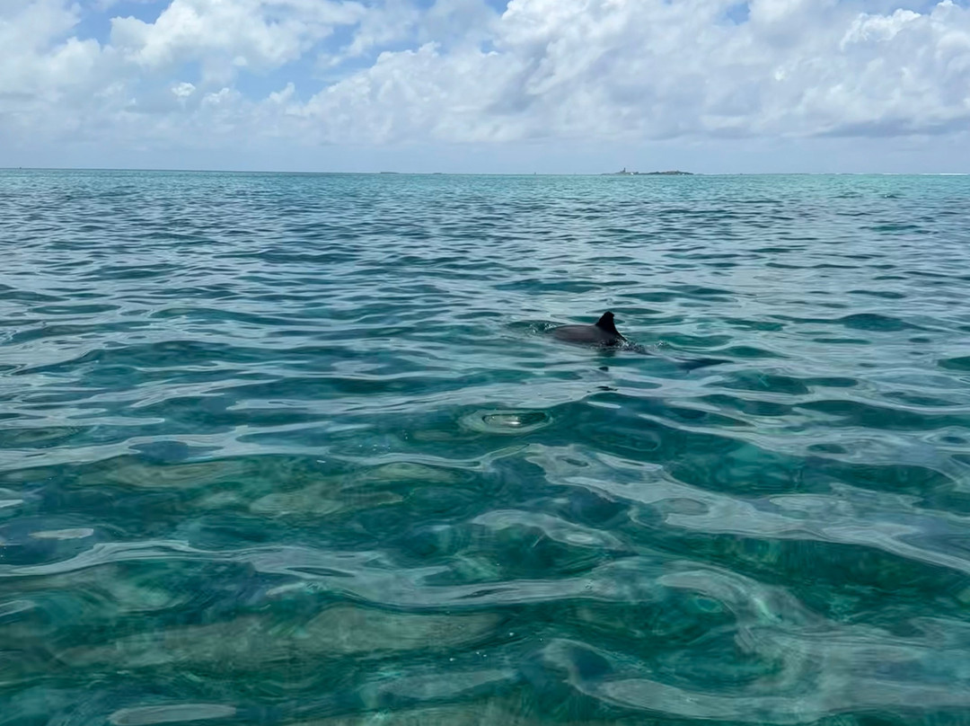 Speed Boat Seaduction-马喜埔必去景点