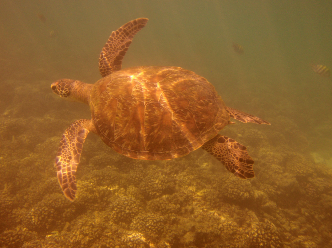 Extra Divers Sifah-As Sifah必去景点