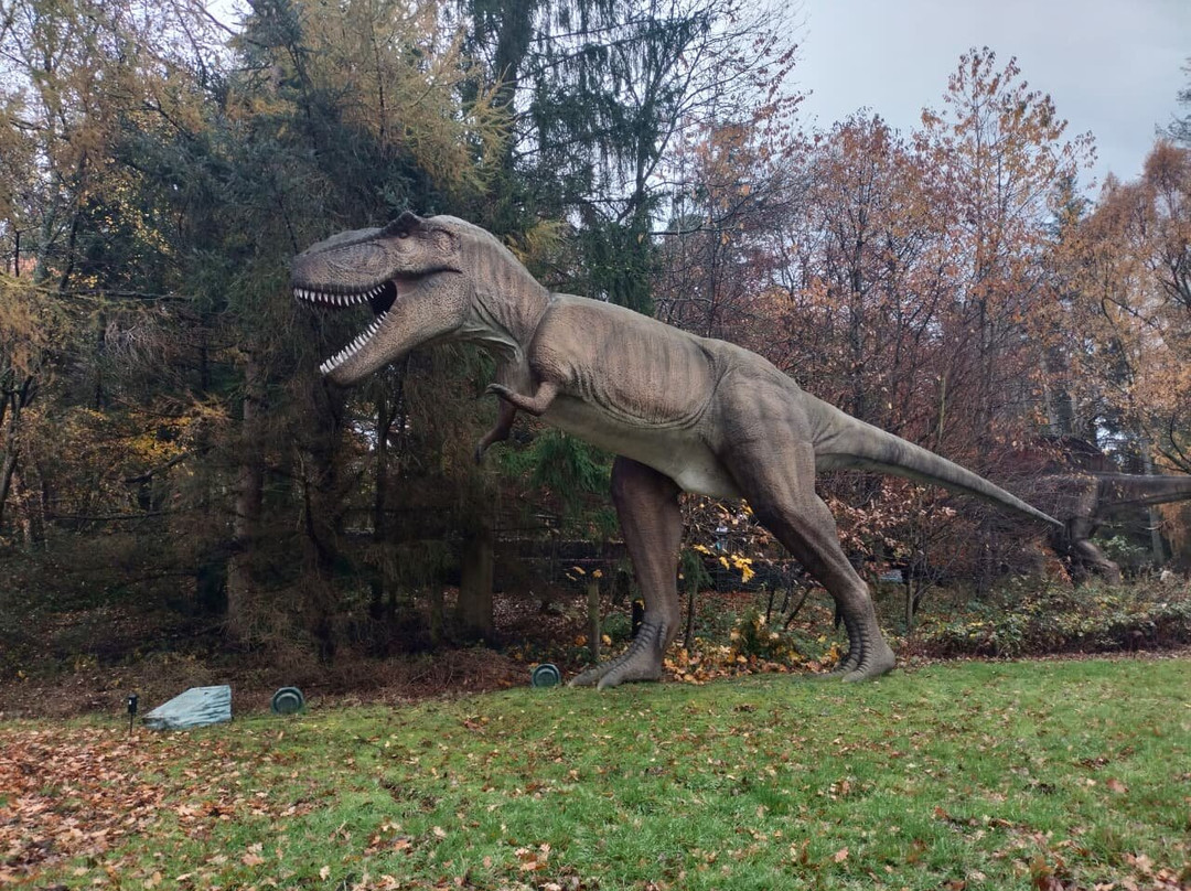 Blair Drummond Safari And Adventure Park-斯特灵必去景点