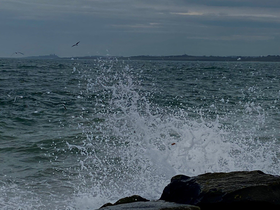 Beadnell Bay Beach-Beadnell必去景点