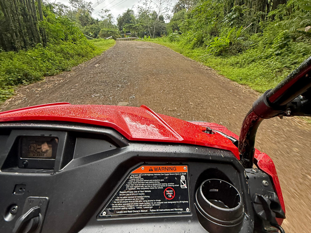 Jungle ATV Quad Tours-乌维塔必去景点