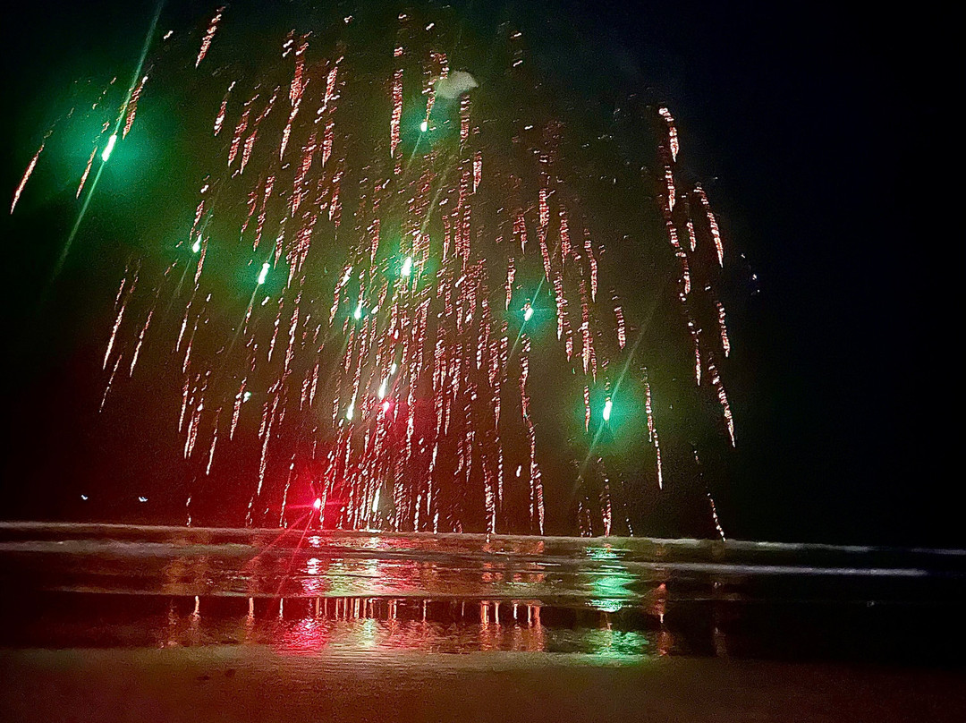 Art Resort Goa主图